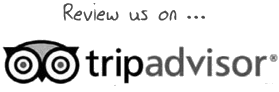tripadvisor logo1